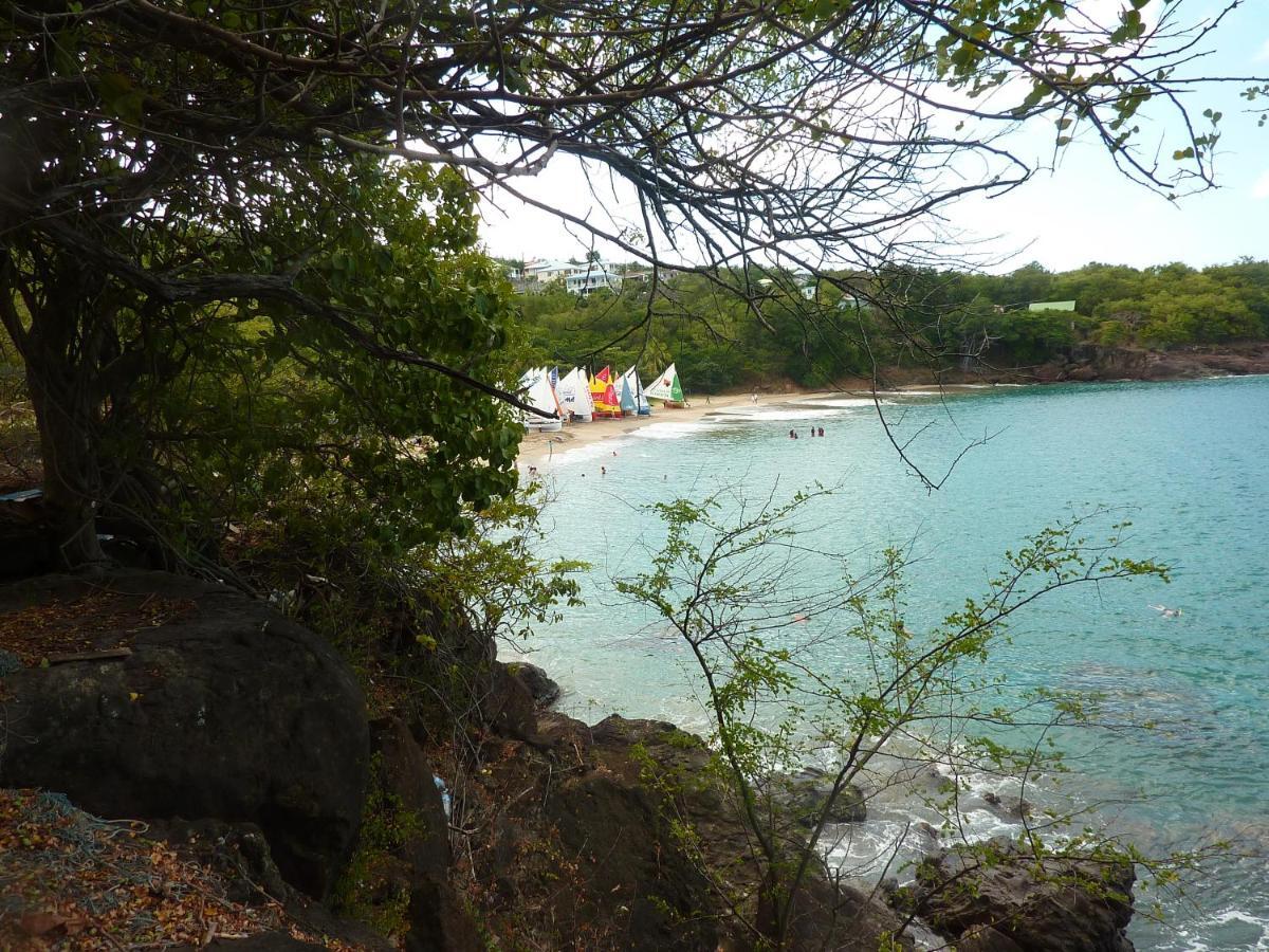 Cottage La Pointe Marine Deshaies Kültér fotó